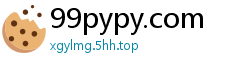 99pypy.com